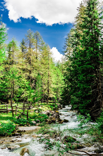 Opinii despre Barblan + Barandun în Bergün/Bravuogn - Gastronomie und Hotellerie