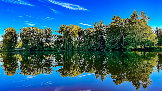 Opinii despre Restaurant Weiher Theres Glarner în Arbon - Gastronomie und Hotellerie
