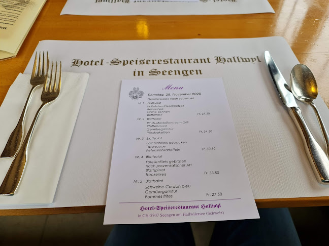 Hotel-Speiserestaurant Hallwyl AG - Seengen