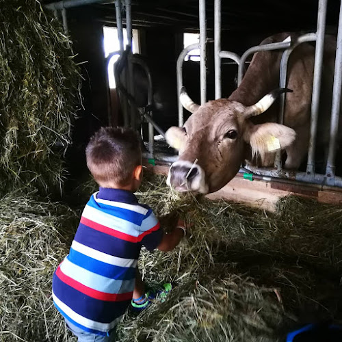 Comentarii opinii despre Kari's Beizli am Engelstock
