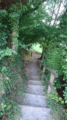 Comentarii opinii despre Wald ZH UND Umgebung