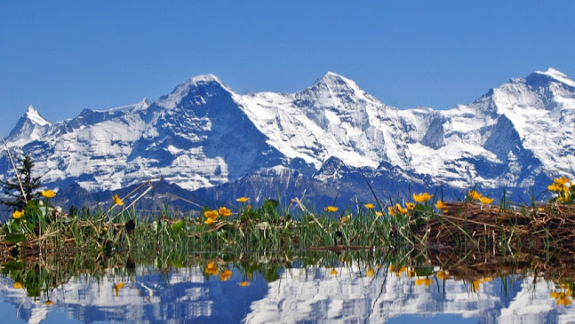 Niederhorn 1015, 3803 Beatenberg