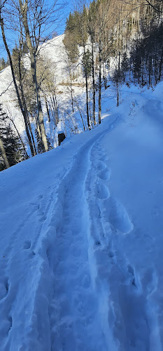 Opinii despre Alpwirtschaft Tierhag în Steg im Tösstal - Gastronomie und Hotellerie