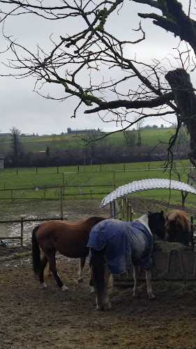 Chez Zaza - Bussy-Chardonney