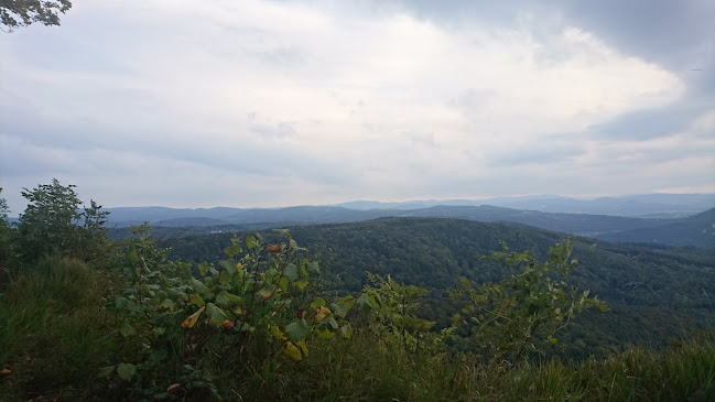 Grundackerstrasse 6, 4143 Dornach