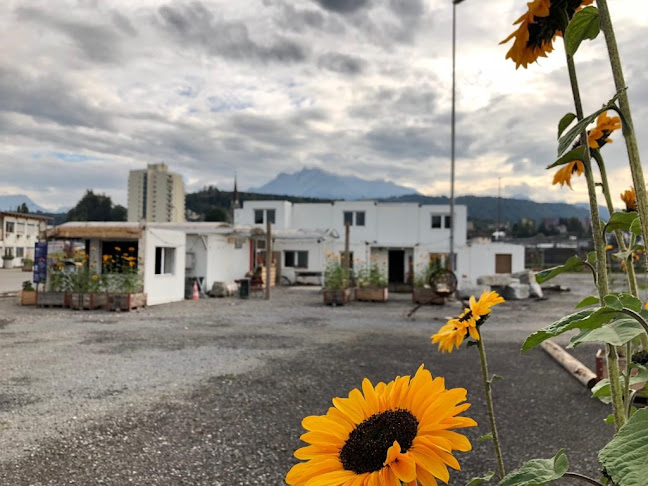 Opinii despre Magazin în Emmen - Gastronomie und Hotellerie