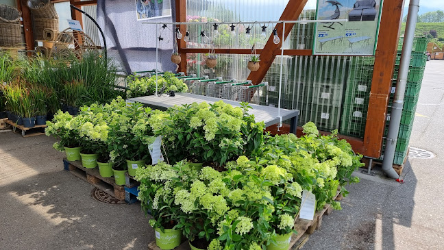 Blumensteinstrasse 28, 3634 Thierachern