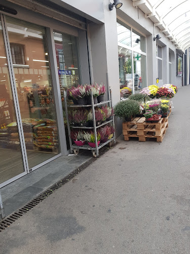 Coop Restaurant La Tour-de-Peilz - Gastronomie und Hotellerie