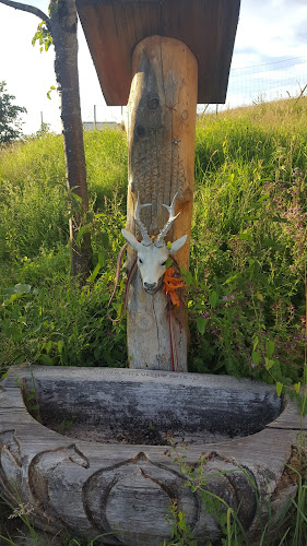 Opinii despre Hirschenhof Marco & Viola în Walchwil - Gastronomie und Hotellerie