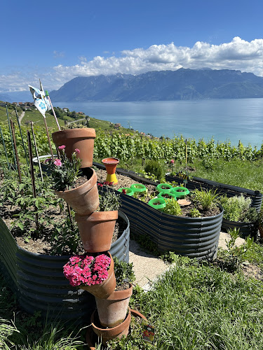 Domaine Vitis Musicalis - Bourg-en-Lavaux