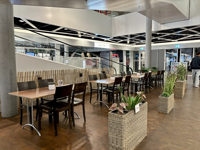 Wild Chik‘n - Amriswil