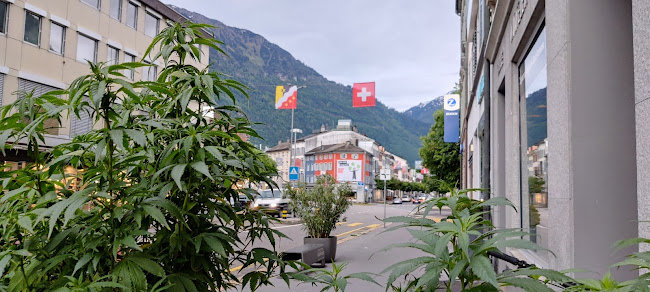 Comentarii opinii despre NAMASTE Coffeeshop