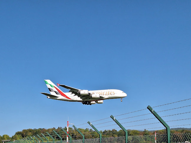 Comentarii opinii despre Amore Mio