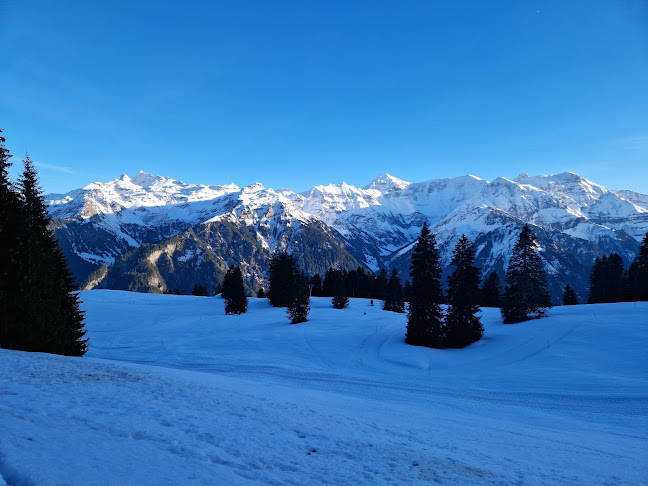 Comentarii opinii despre Ortstockhaus Braunwald