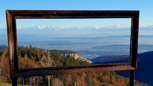 Opinii despre La Werdtberg Hôtel, Restaurant. Chez Armon et Felix în Reconvilier - Gastronomie und Hotellerie