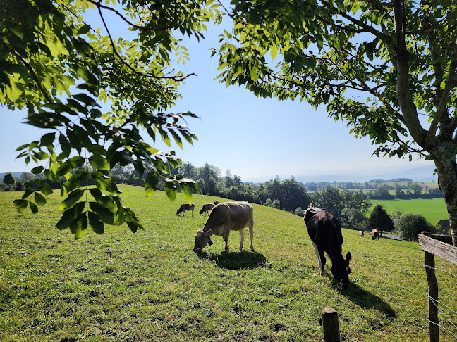 Comentarii opinii despre Blüemlisalp