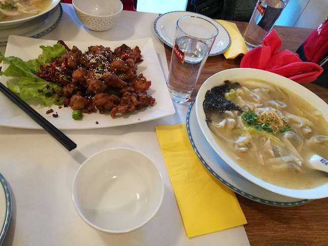 Comentarii opinii despre Restaurant Henan 河南人家