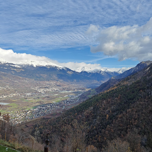 Comentarii opinii despre les Promeneurs