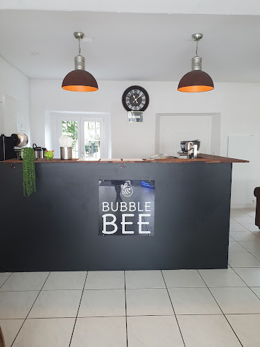 Comentarii opinii despre Bubble Bee