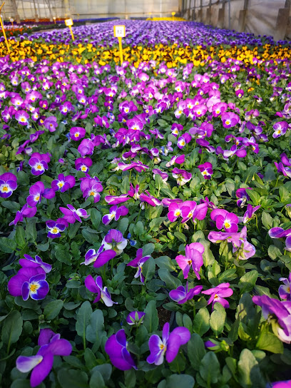 Point Vert Production & vente directe Saxon