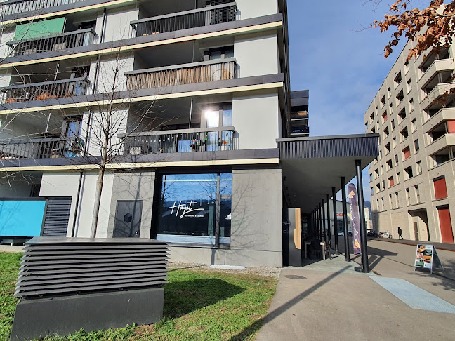 Hayat Restaurant & Lounge Schlieren - Schlieren