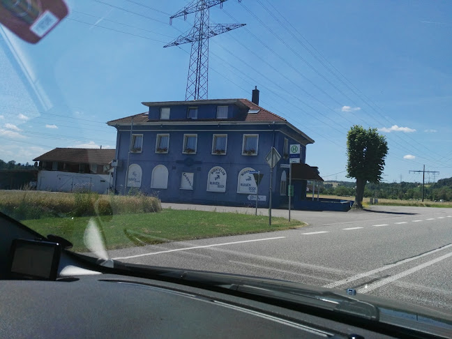 Opinii despre Blauen Bock în Möhlin - Gastronomie und Hotellerie