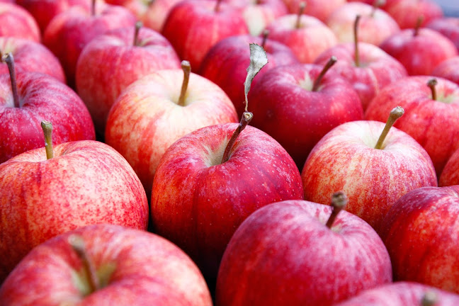 Schlaraffenland - Frauenfeld