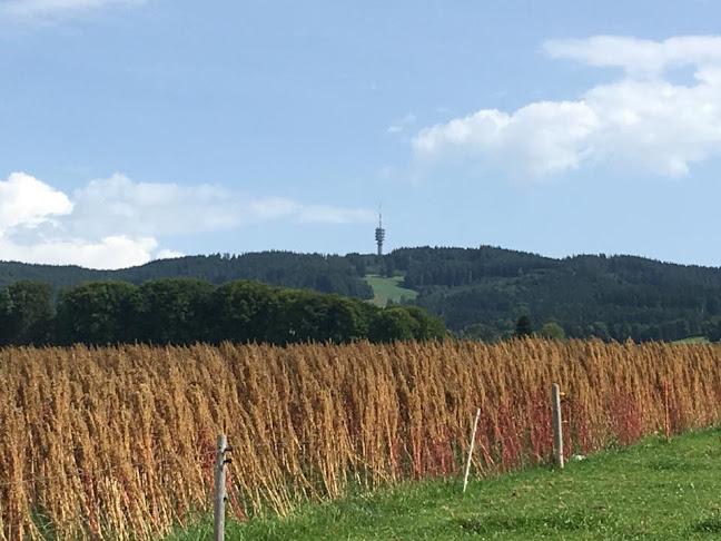 Ferme des Pierres - Gastronomie und Hotellerie