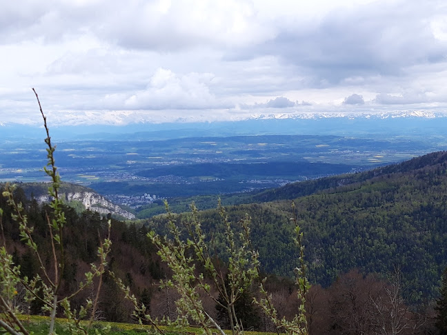 La Werdtberg Hôtel, Restaurant. Chez Armon et Felix