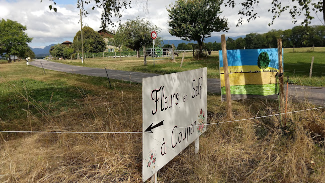 Self Cut Flowers - Gastronomie und Hotellerie