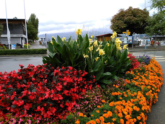 Schifflände - Arbon