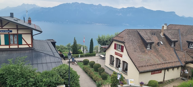 Rte de Baumaroche 29, 1801 Chardonne