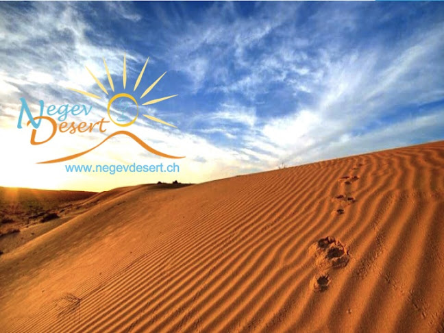 Negev Desert, Godin & Weinstein - Geneva