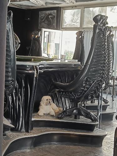 Giger-Bar Kalchbühl - Gastronomie und Hotellerie