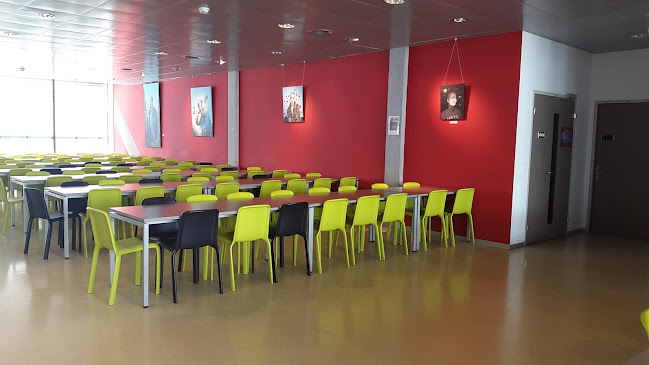 L'Ornithorynque - Ecublens