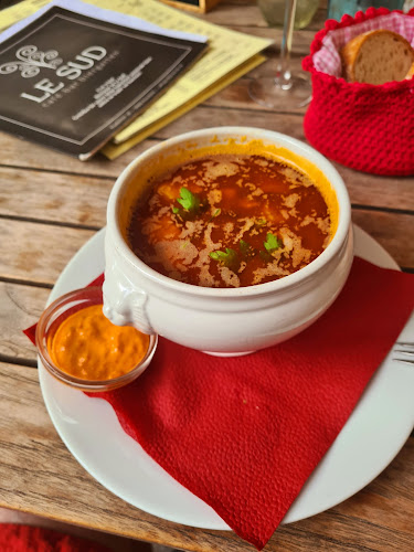 Comentarii opinii despre Le Sud