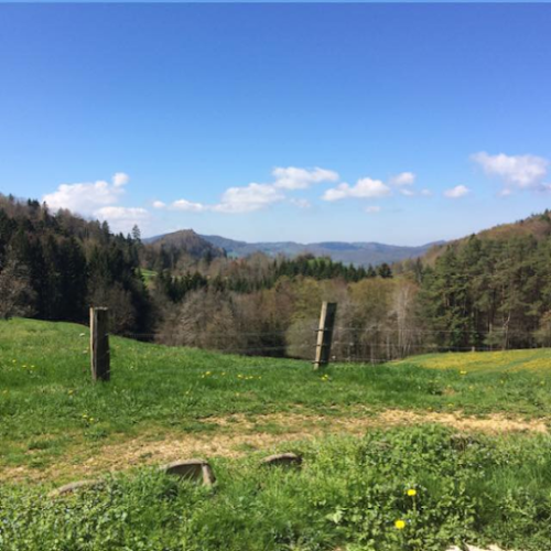 Restaurant Pierreberg