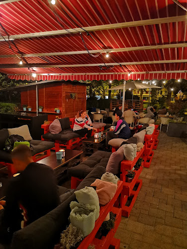 Comentarii opinii despre Vibez