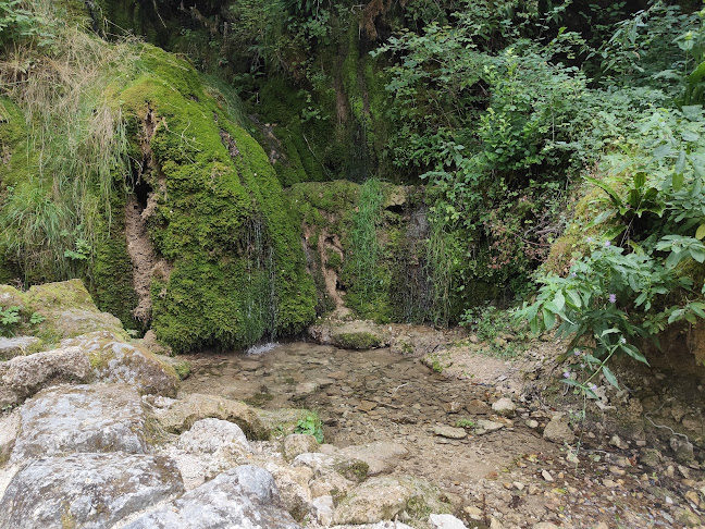 Comentarii opinii despre Restaurant du Theusseret