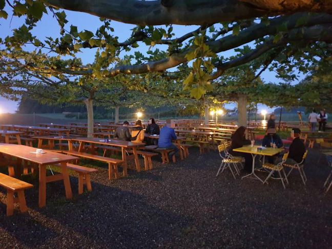 Comentarii opinii despre Wirtschaft Stelzenhof AG