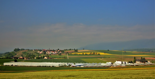 Comentarii opinii despre Eisberg SA
