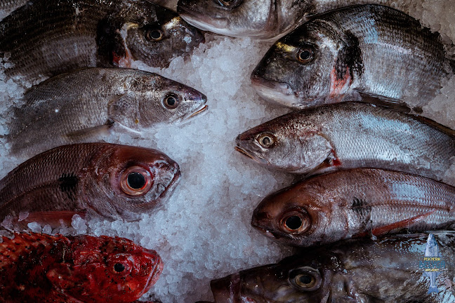 Ristorante Pescheria Belvga