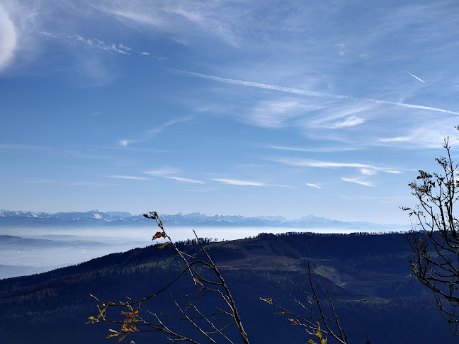 La Werdtberg Hôtel, Restaurant. Chez Armon et Felix - Gastronomie und Hotellerie
