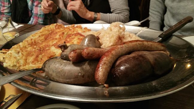 Comentarii opinii despre Adler