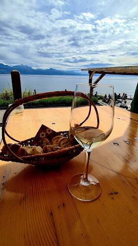 Domaine Vitis Musicalis