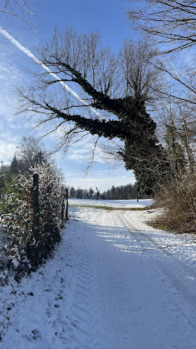 Opinii despre Mr. Gaudenz Dettli în Reinach - Gastronomie und Hotellerie