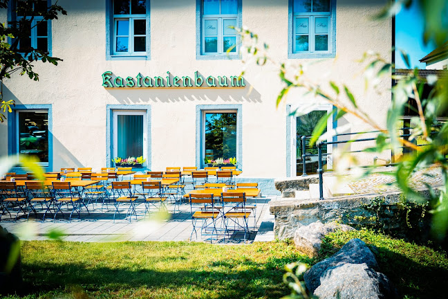 Comentarii opinii despre Restaurant Kastanienbaum