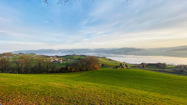 Opinii despre Panorama Restaurant Chutze în Belpberg - Gastronomie und Hotellerie