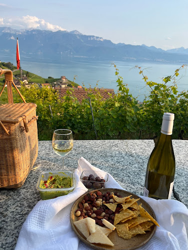 Domaine Vitis Musicalis