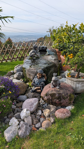 Im Chopfholz 6, 8340 Hinwil